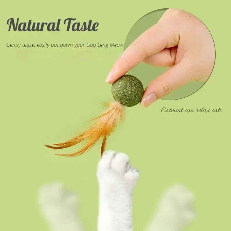 Pet Catnip Toys Cat Mint Ball Edible Catnip Ball Safety Healthy Cat Mint Cats Home Chasing Game Toy Products Clean Teeth