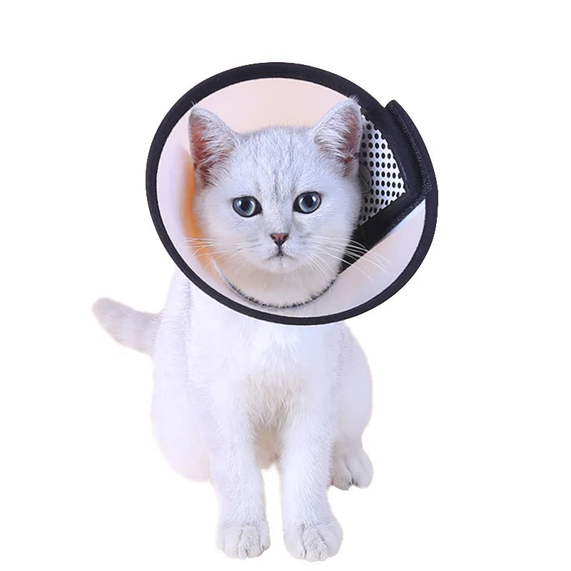 Pet Protective Collar Dog Neck Recovery Cone Collar Anti-Bite Lick Wound Healing Cat Dogs Health Training Medical Circle Tool