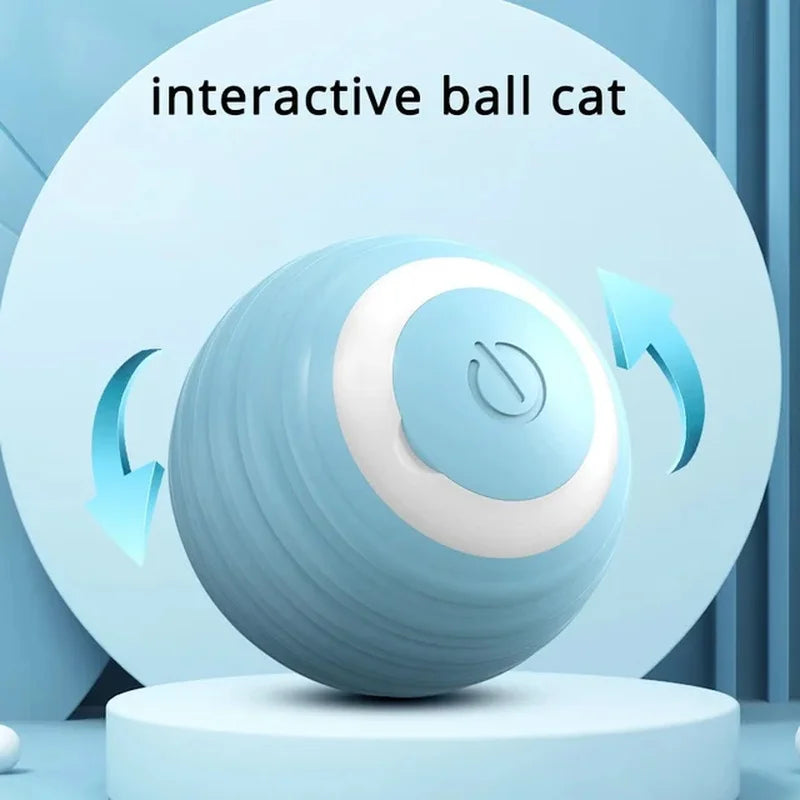 Interactive Cat Toy Ball Roll Pet Things Stuff Products Offer Supplies Games Kitten Accessories Katzen Gadgets Goods Articles