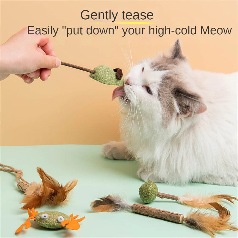 Pet Catnip Toys Edible Catnip Ball Healthy Cat Mint Cats Household Chasing Game Toy Products Cleaning Teeth Pet Toy Supplies