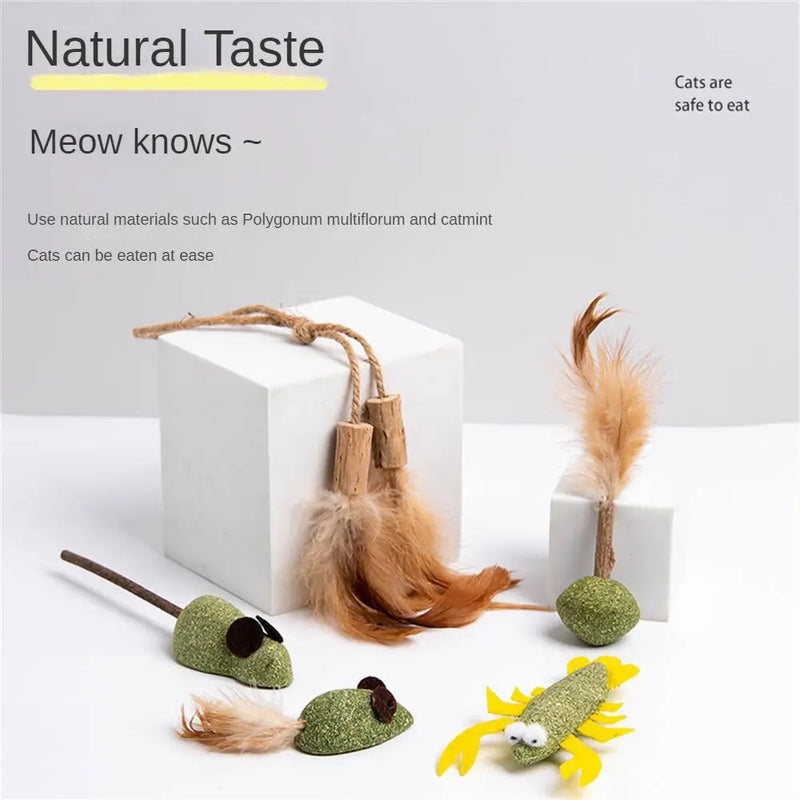 Pet Catnip Toys Edible Catnip Ball Healthy Cat Mint Cats Household Chasing Game Toy Products Cleaning Teeth Pet Toy Supplies